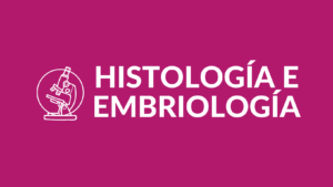 Curso de Final HyE - Mesa Marzo