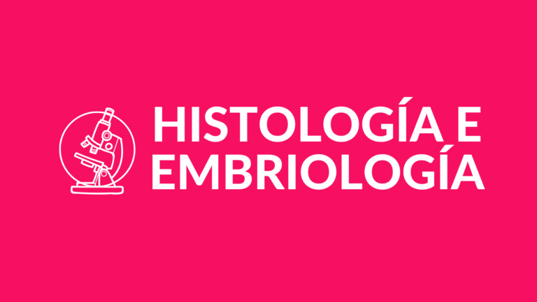 Curso de Final HyE – Mesa Marzo